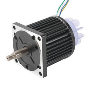 Alto motor sin cepillo de Bldc del poder más elevado del esfuerzo de torsión 110m m